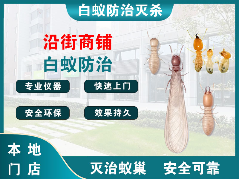 高港沿街商铺白蚁防治