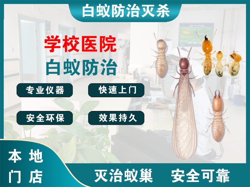 高港学校医院白蚁防治