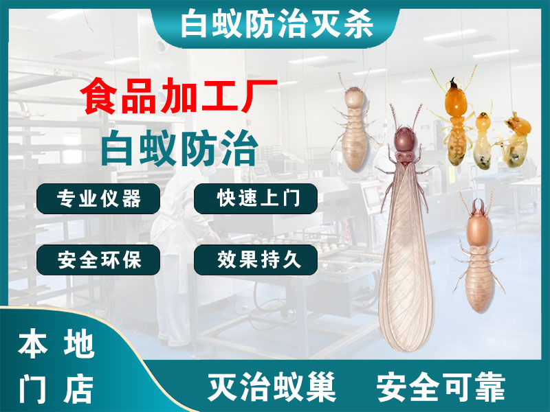 高港食品加工厂白蚁防治