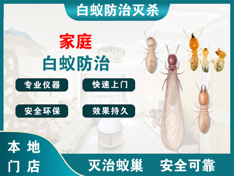 高港家庭白蚁防治