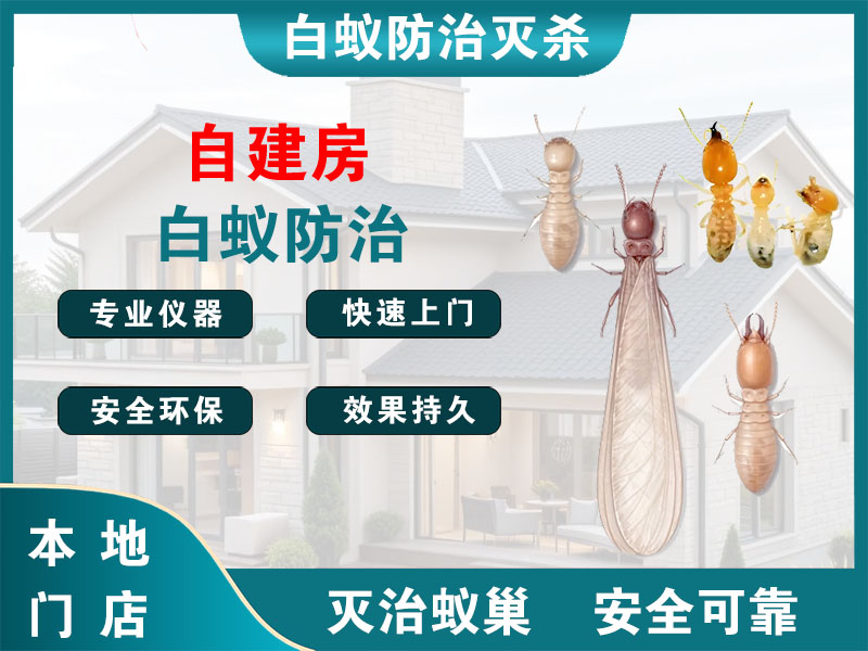 高港自建房白蚁防治