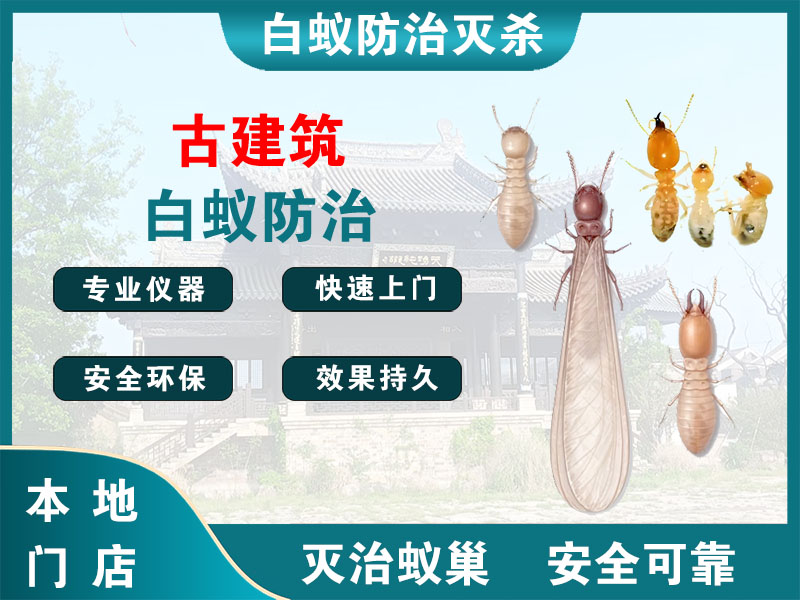 高港古建筑白蚁防治