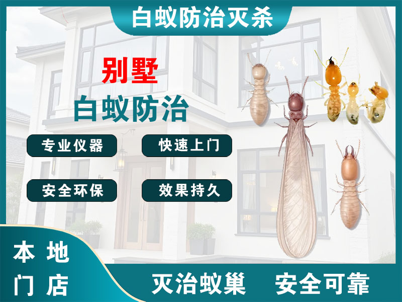 高港别墅白蚁防治