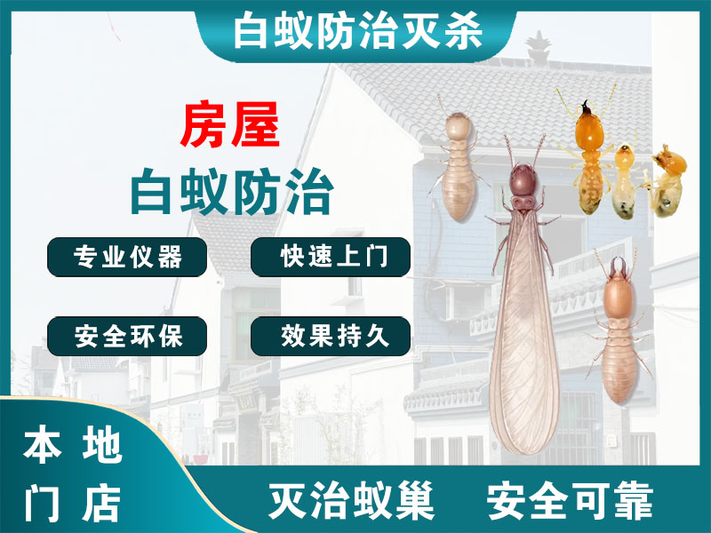 高港房屋白蚁防治